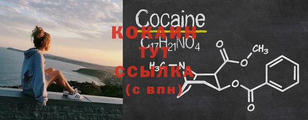 молекула духа Михайлов