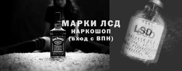 прущие грибы Михайловск