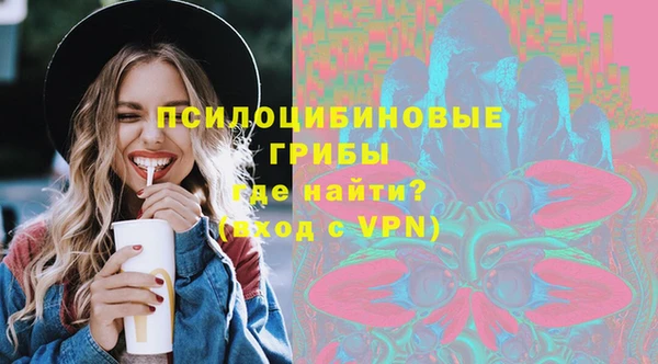 прущие грибы Михайловск