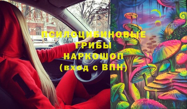 прущие грибы Михайловск
