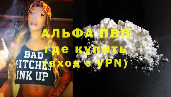 молекула духа Михайлов