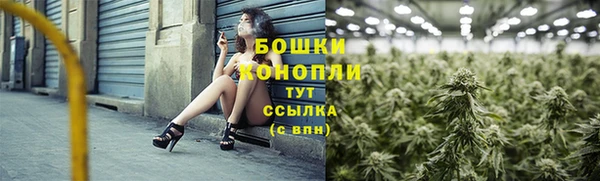 прущие грибы Михайловск